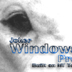 Windows 2000 Barking up...