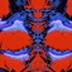 Morphing Skulls