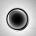 Yin Yang