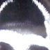 Onyx