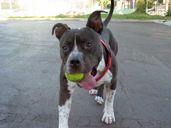 Playing catch a ball and then catch an other one!