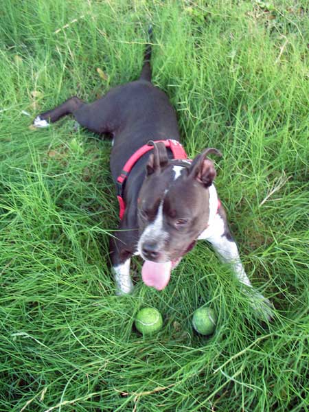 Playing catch a ball and then catch an other one!