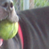 Onyx got his 2 balls!