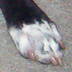 One of the Onyx Look!