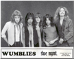 The Wumblies